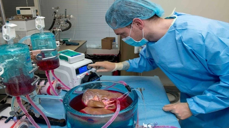 Μια νέα βελτιωμένη μέθοδος συντήρησης οργάνων, ανοίγει αυξημένες δυνατότητες για τις μεταμοσχεύσεις